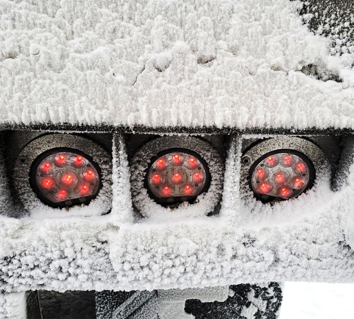 Model 234: Heated 4" Reverse Light - Image 4